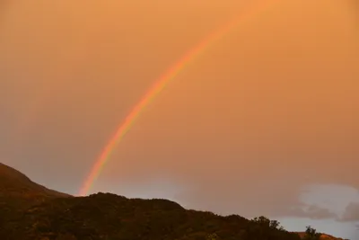 DSC_6052 (Large).JPG